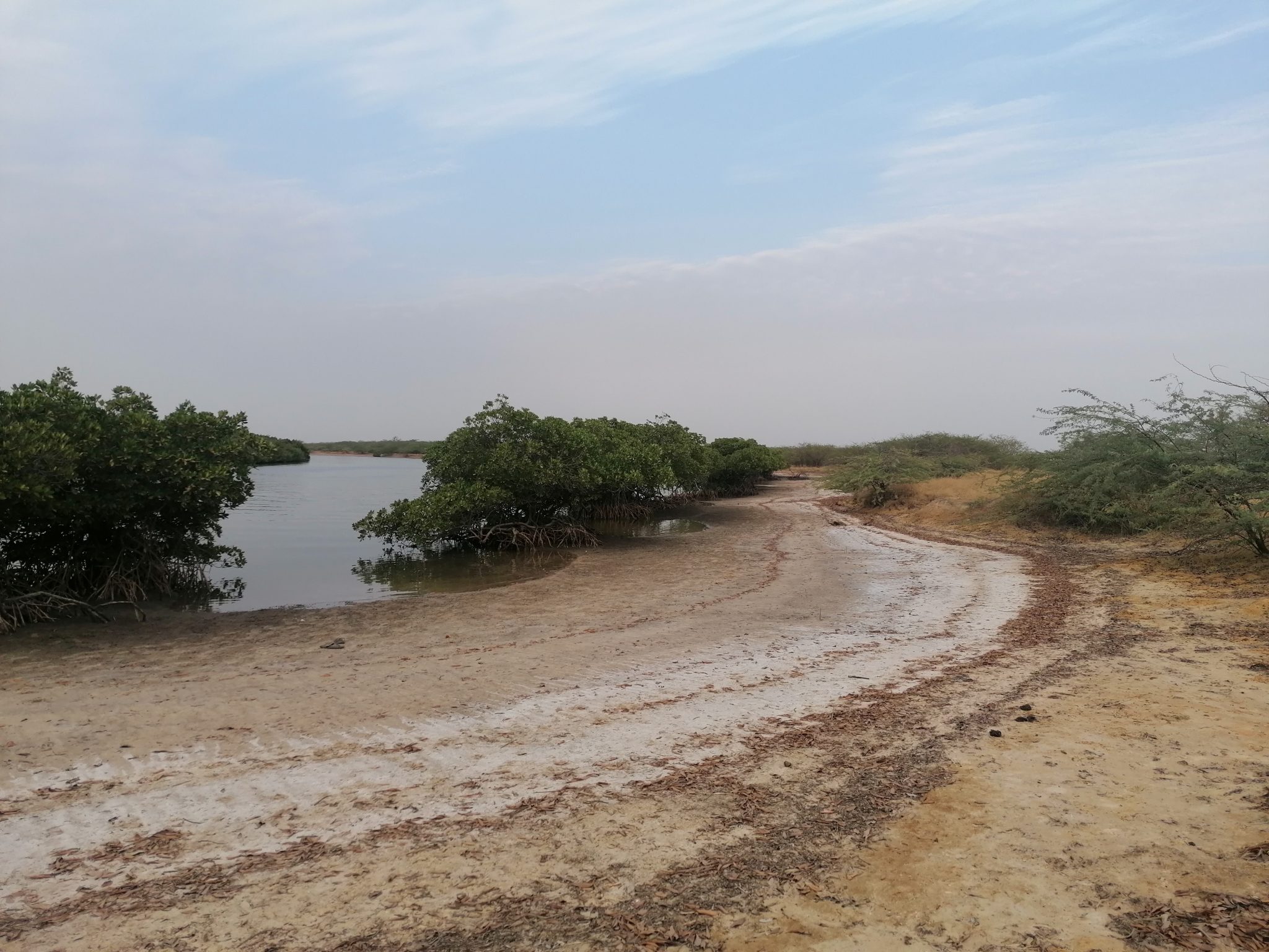 Delta du Saloum