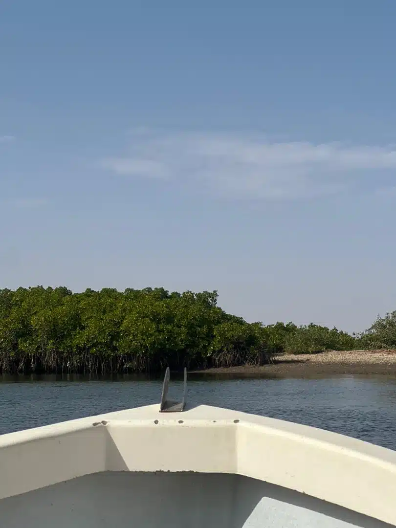 bateau delta du saloum