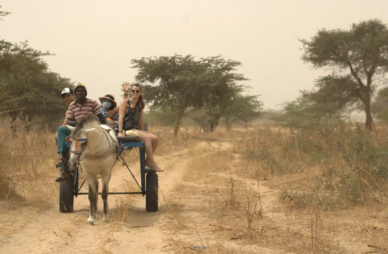 delta du saloum sénégal charette