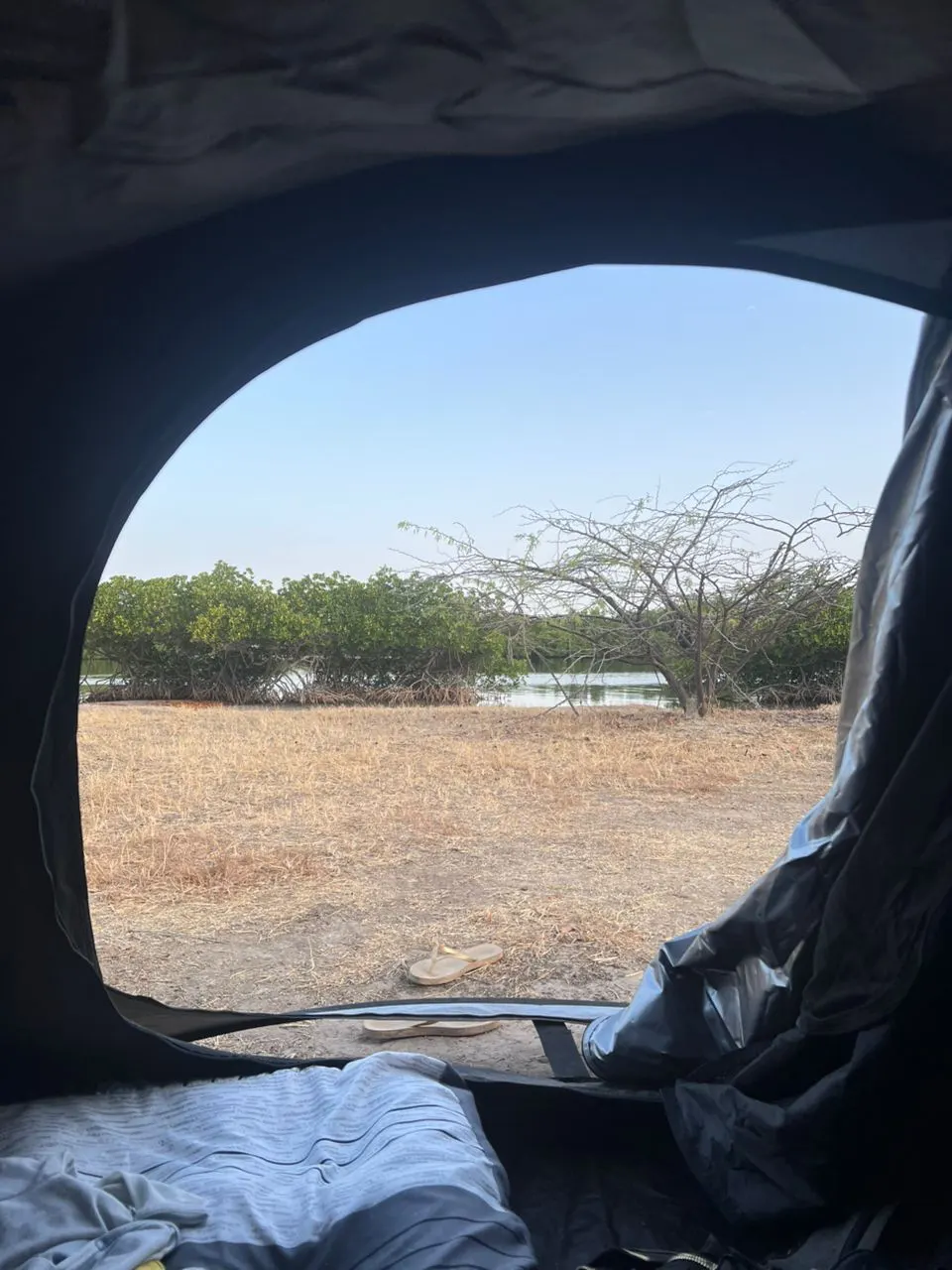 delta du saloum tente